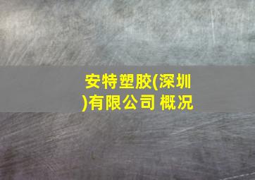 安特塑胶(深圳)有限公司 概况